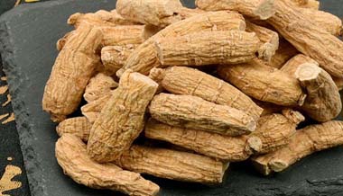 American Ginseng manufacturer wholesale