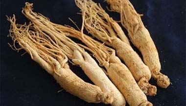 Ginseng manufacturer wholesale