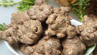 Notoginseng manufacturer wholesale