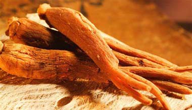 Red ginseng manufacturer wholesale