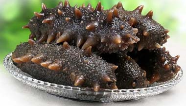 Sea cucumber manufacturer wholesale