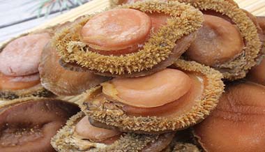 Abalone manufacturer wholesale